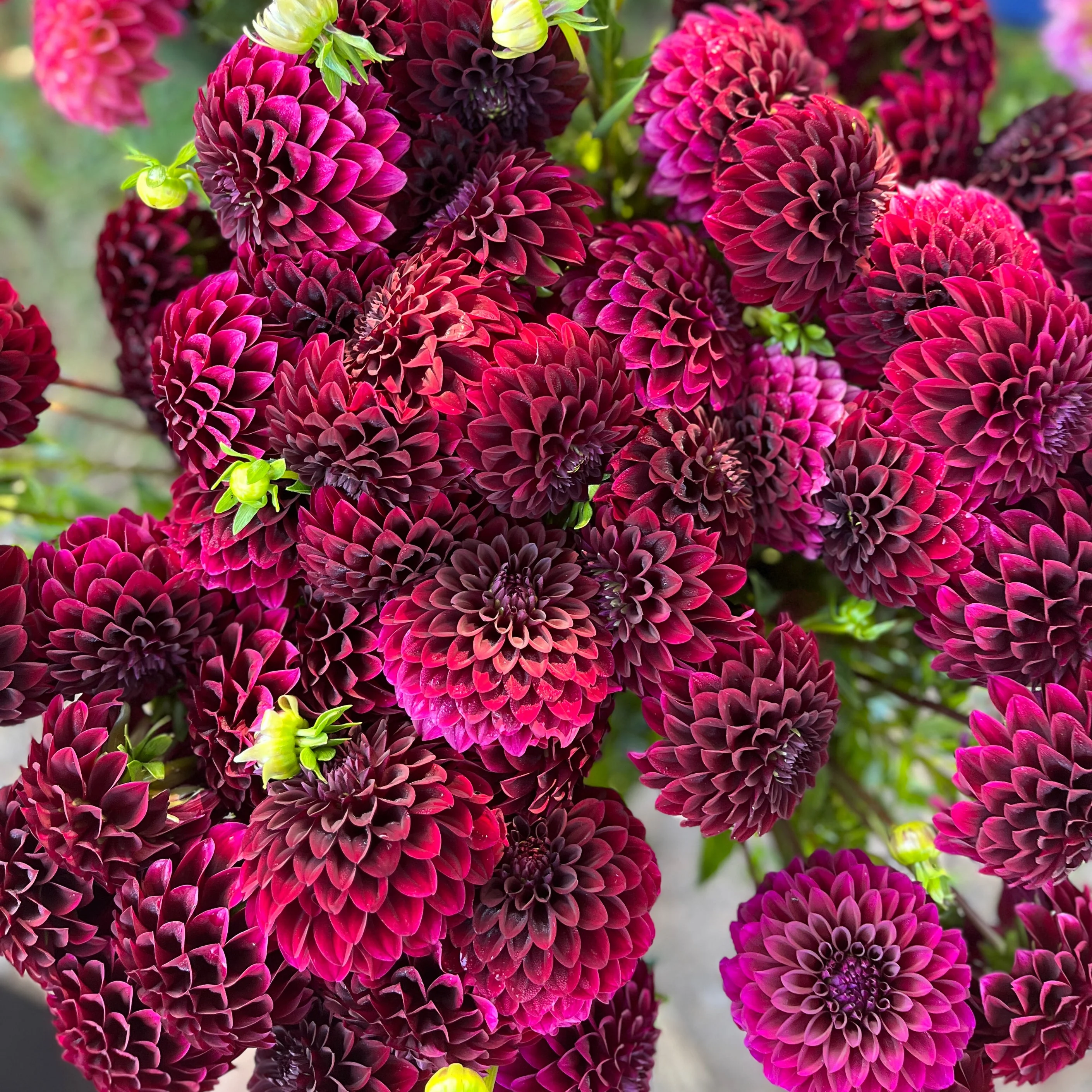 Welcome to Our Store