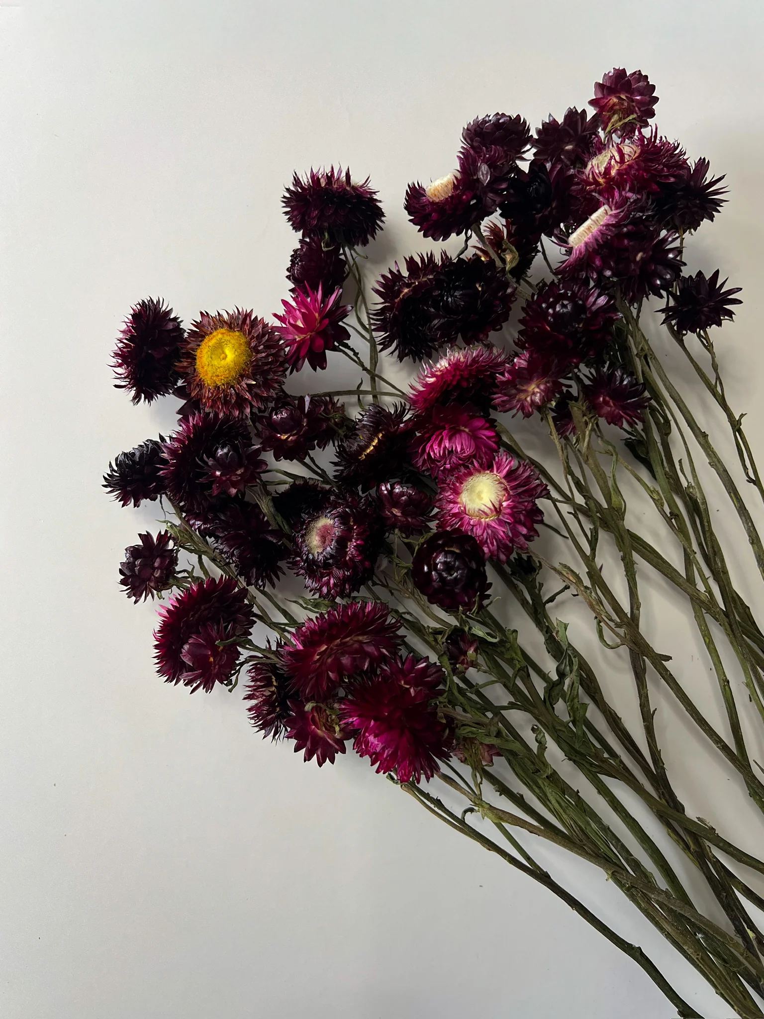 Dried Flowers, Wreaths, & Bouquets