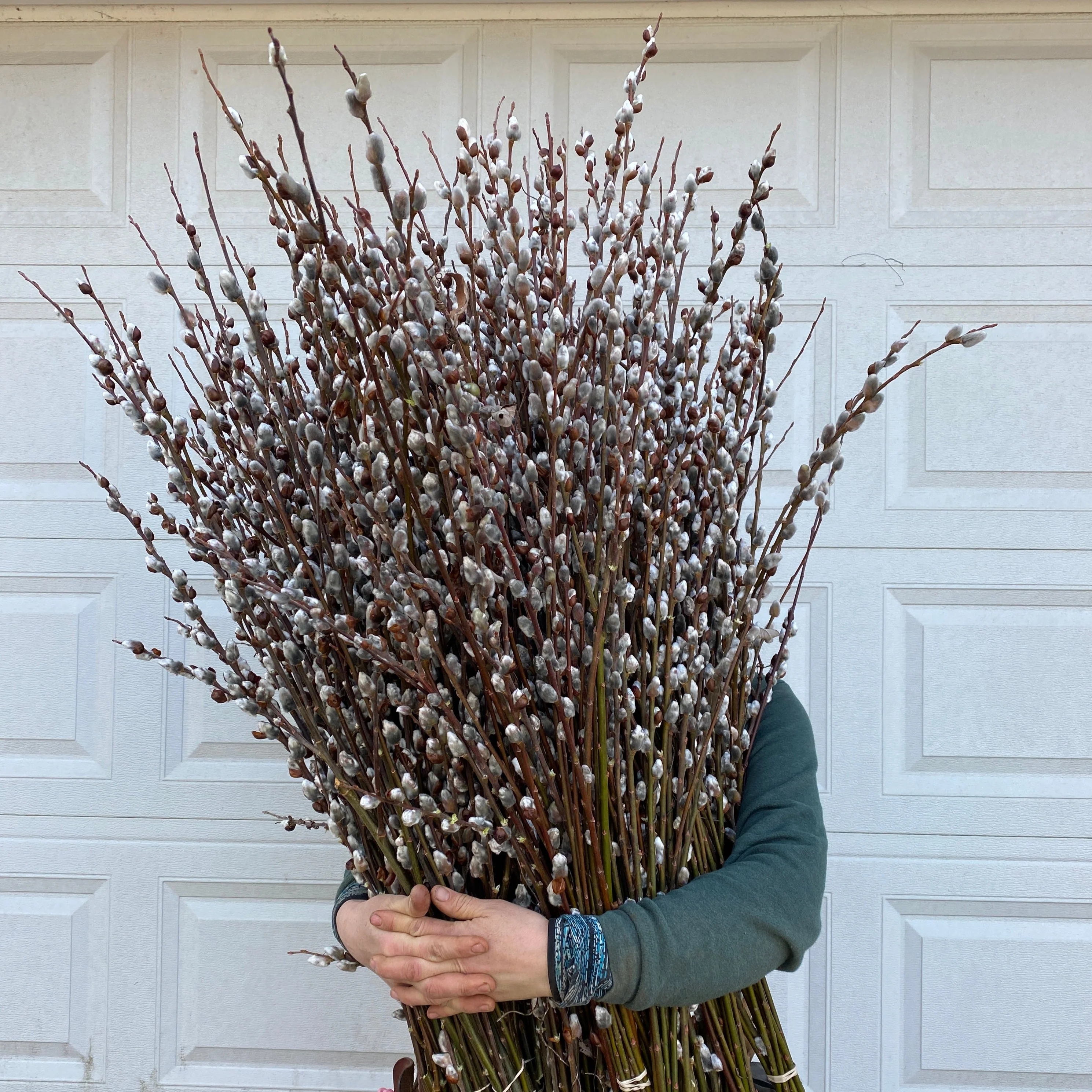 Holiday Classic Collection